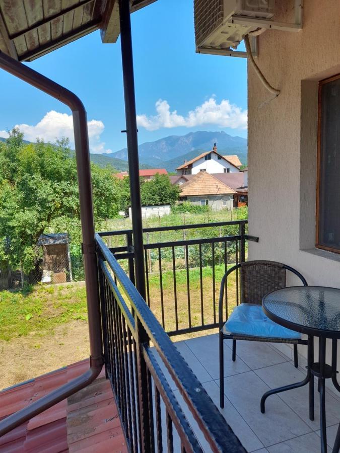 Casa Zoe Seaca Vila Călimăneşti Exterior foto